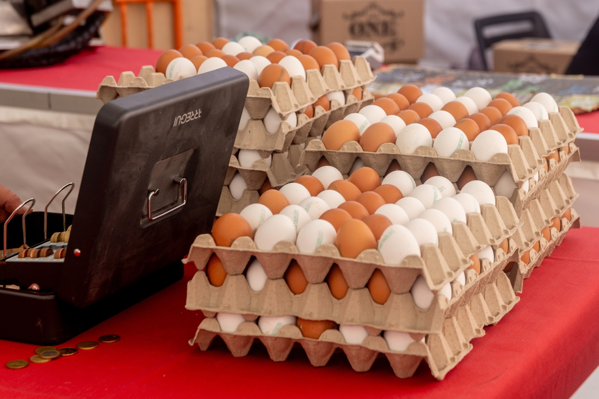 Huevos a la venta en