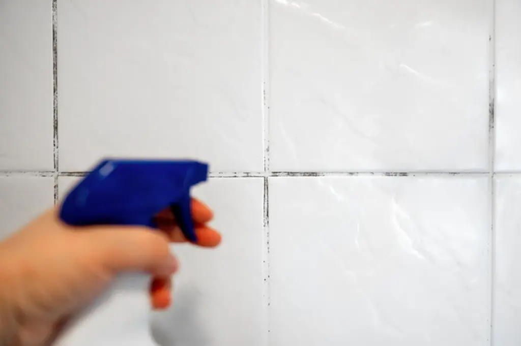 Baño impecable: el truco del peróxido de hidrógeno para eliminar el moho negro
