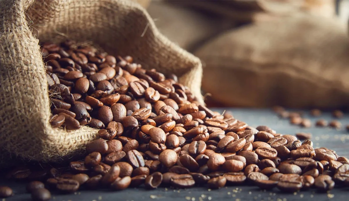 Baristas revelan: El error que arruina la dulzura de tu café - image 1