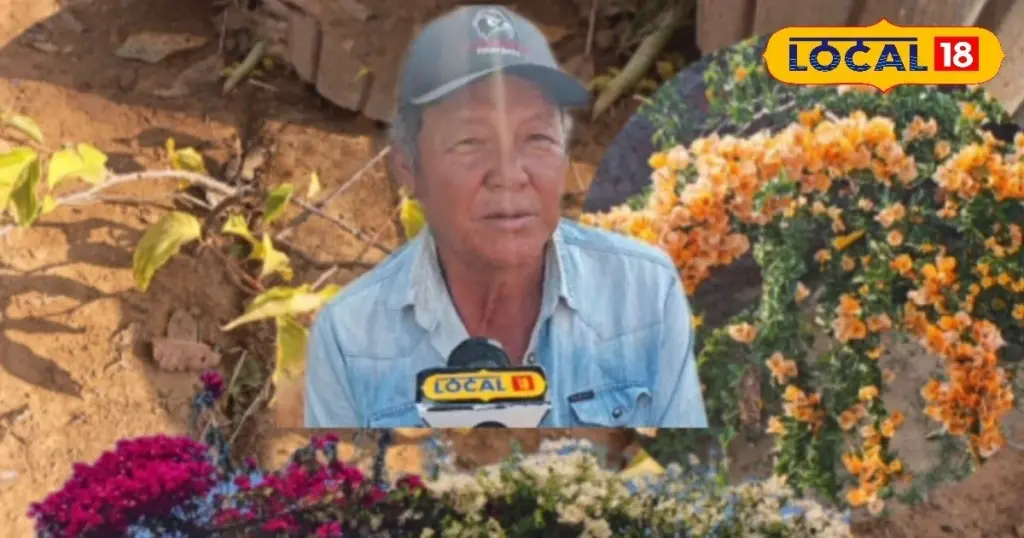 Bougainvillea de 3 colores: el truco de Chundu Jamsin para tu jardín