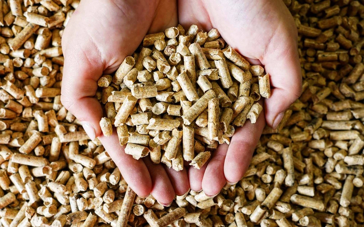 Calefacción barata: por qué el Pellet (Pellé de madera) de Polonia ahora es clave para ahorrar en España - image 1