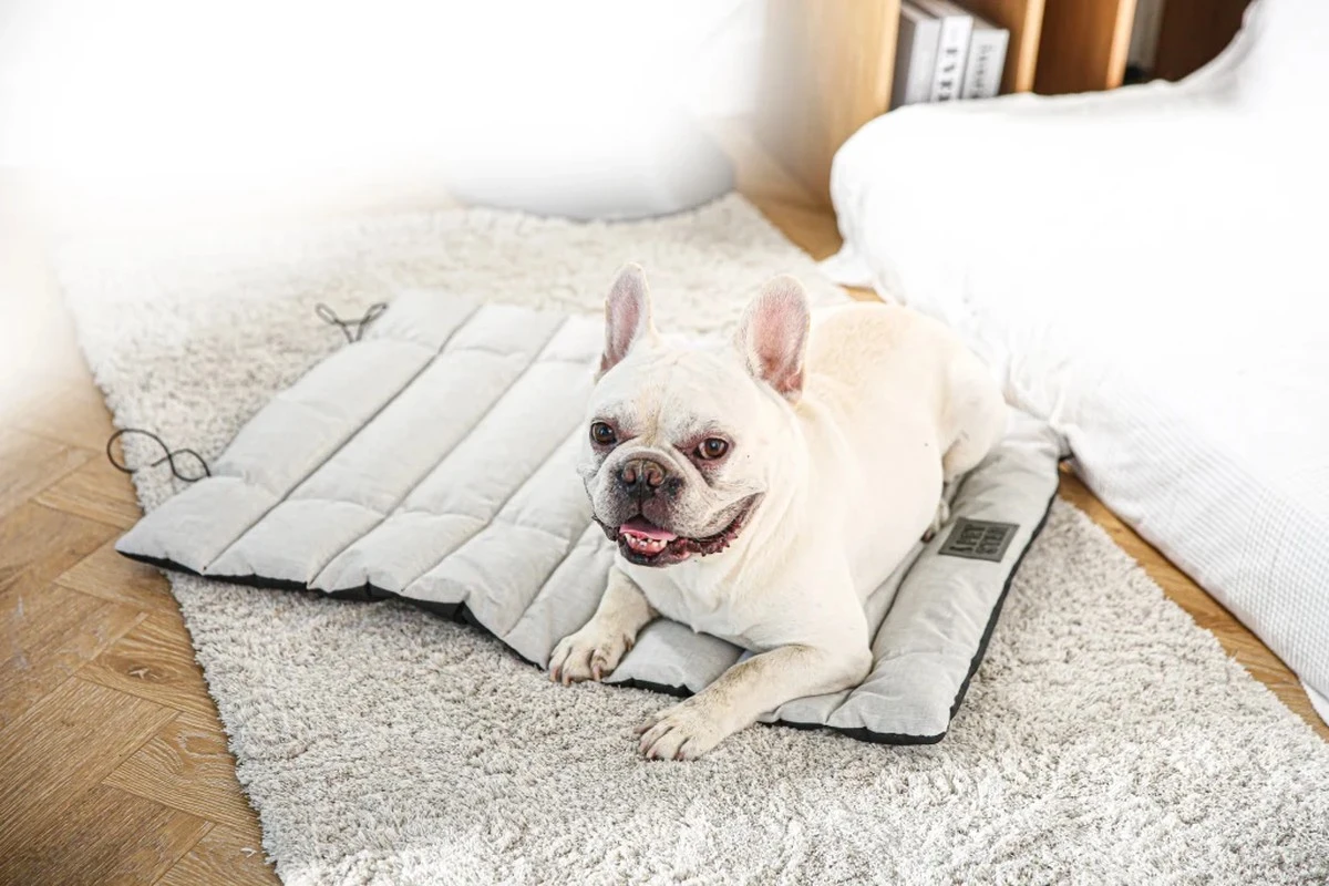 Cama para mascotas: Por qué el tejido fresco reemplaza a la espuma tradicionales - image 1