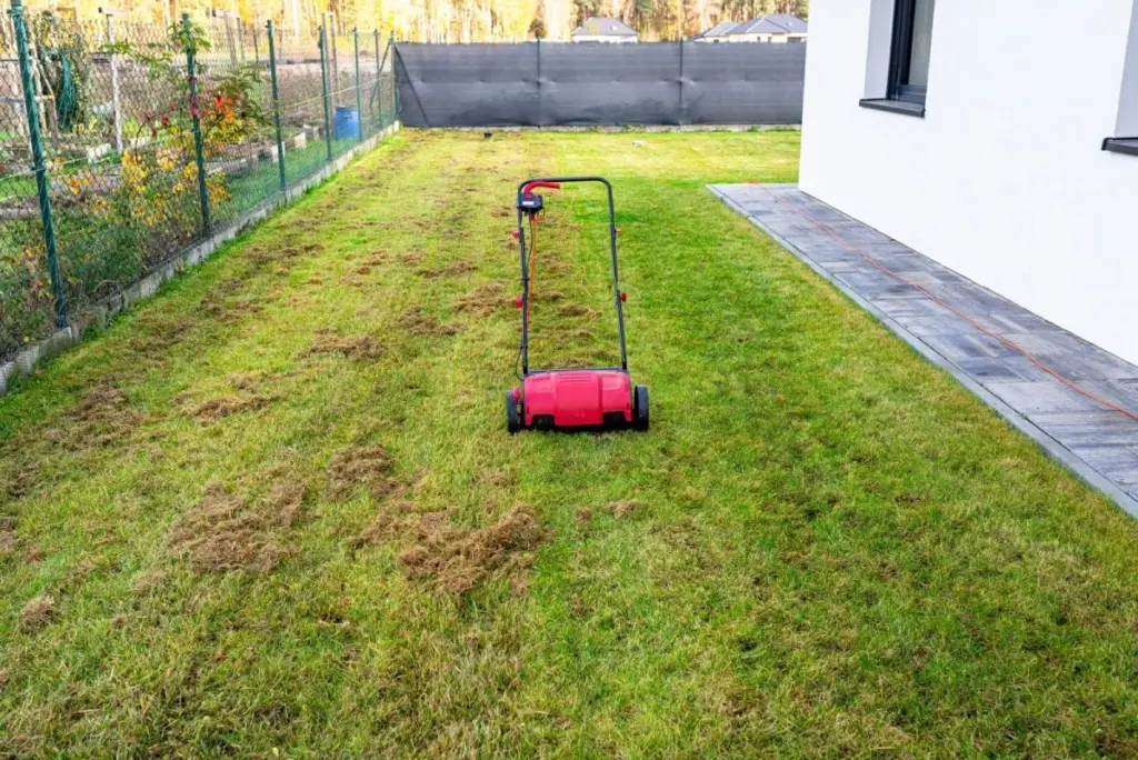 Césped amarillento: el truco de la escarificación para un jardín verde en 15 días