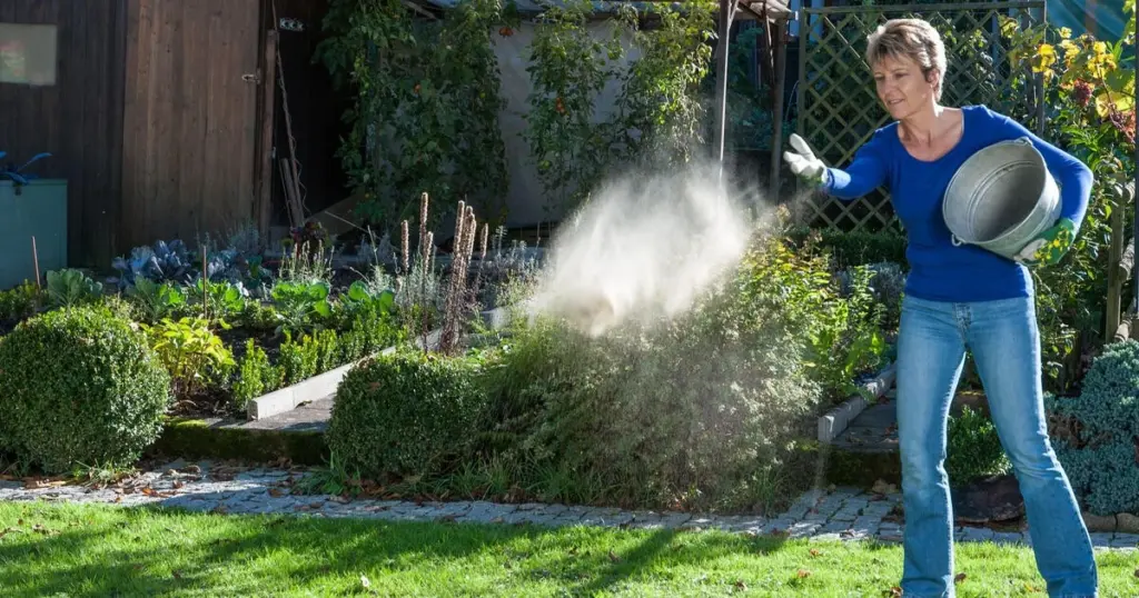 Césped amarillento: el error común al usar Cal que arruina tu jardín