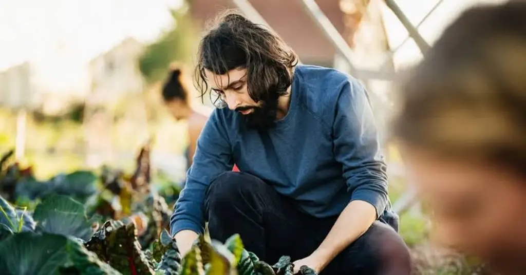 Césped en marzo: por qué no debes cortarlo aún si quieres salvar tu jardín
