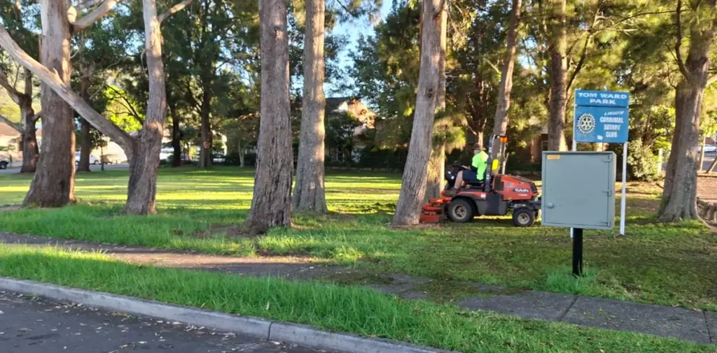 Césped fuera de control: el truco de Wollongong para domarlo en segundos