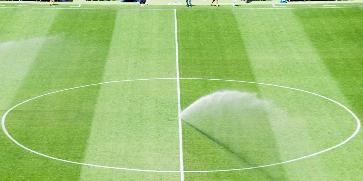 Césped perfecto en el Cluj Arena: el secreto de Cluj para un campo élite - image 1