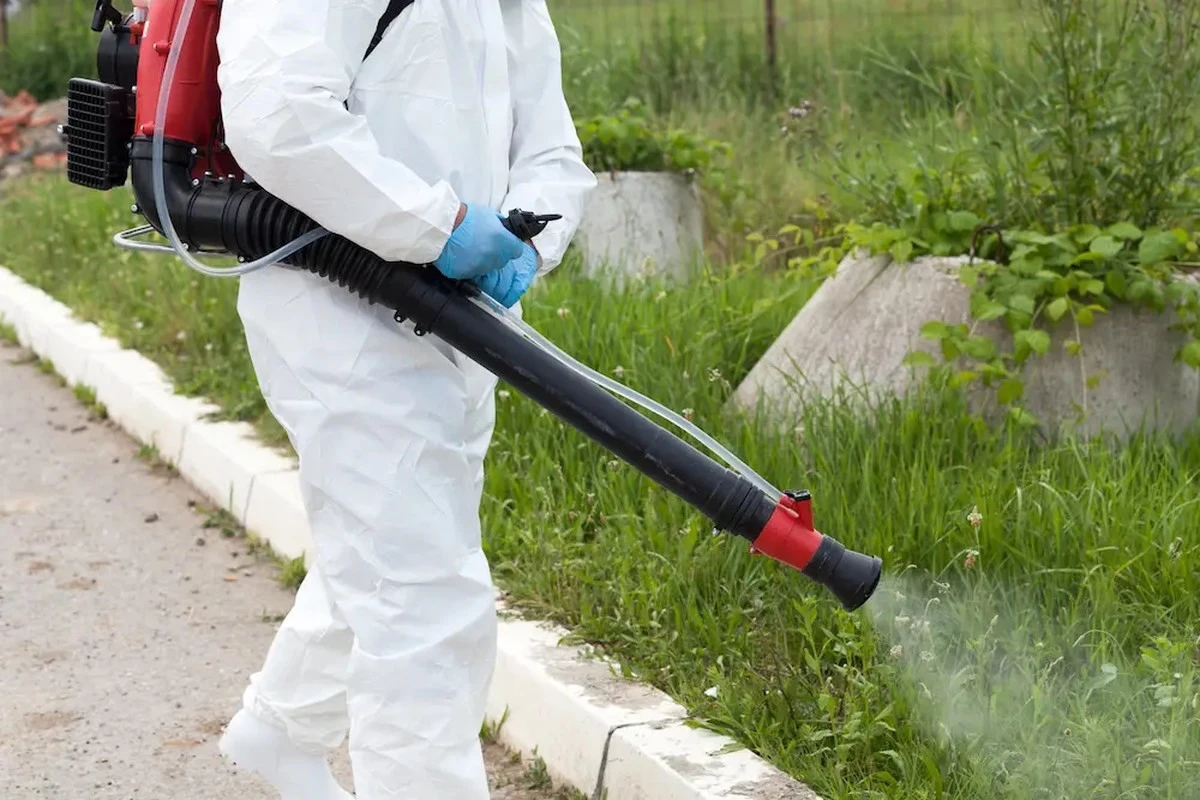 Chikunguña en Santa Cruz de la Sierra: el secreto para frenar el brote hoy - image 1