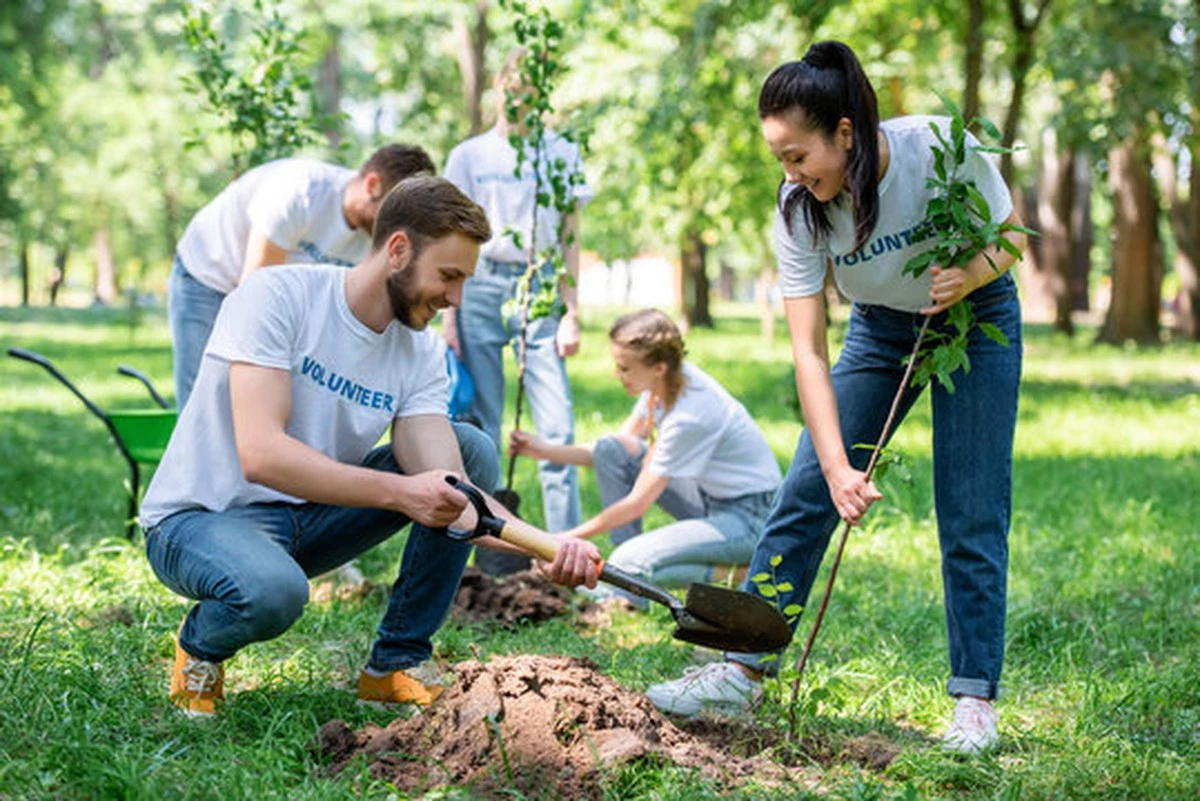Ciudad de Yuanlin y el Día del Árbol: el método para enfriar tu casa gratis - image 1