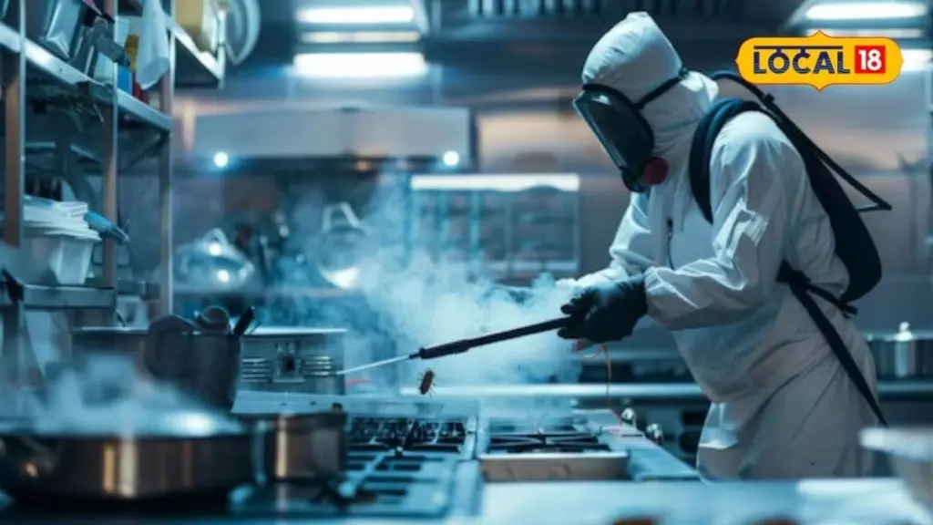 Control de insectos en la cocina: Laurel y Tierra de Diatomeas blindan tu despensa