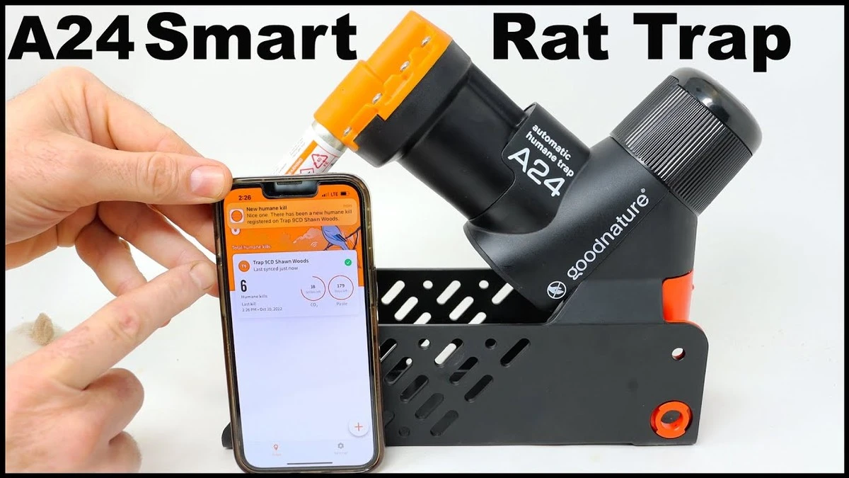 Control de ratas en 2026: sensores IoT y lechuzas sustituyen a los rodenticidas - image 1