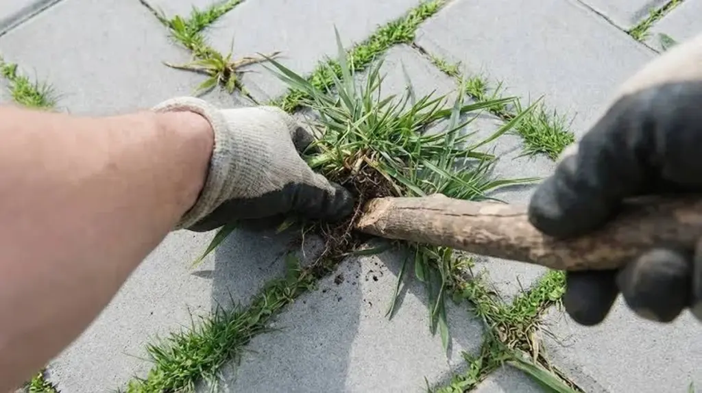 Corta una esquina de tu estropajo: el secreto para un Hogar, Casa y Jardín impecable