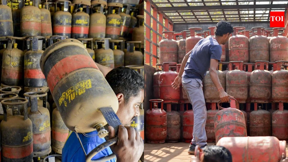Crisis del Cilindro de gas licuado de petróleo (GLP): Caos en Tamil Nadu - image 1