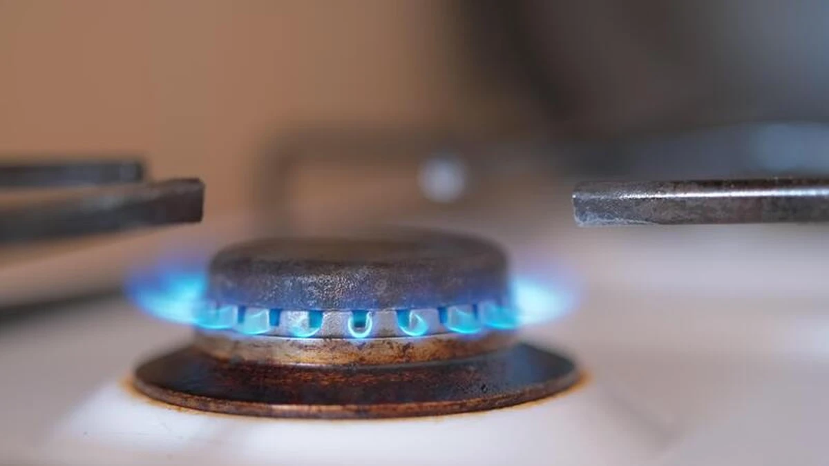 Crisis del gas en Asia Occidental e India: ahorra un 30% en cocina - image 1