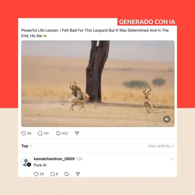 Una imagen generada por IA, publicada en Facebook, muestra una falsa cacería de un leopardo; debajo, un comentario dice "Pura IA".