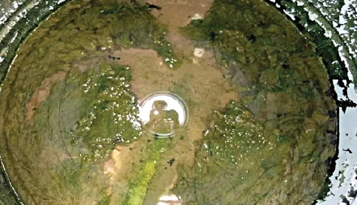 Depósito de agua: el peligro oculto que eliminé con este truco de limpieza - image 1