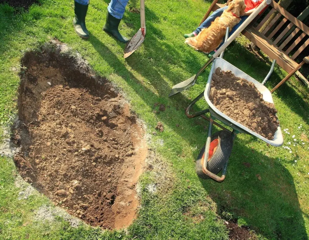 Derecho de propiedad: por qué el Código Civil Alemán (BGB) limita tu jardín