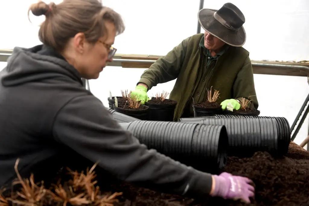 E.C. Browns’ Nursery cambia de manos: el plan de John Freeman para tu jardín