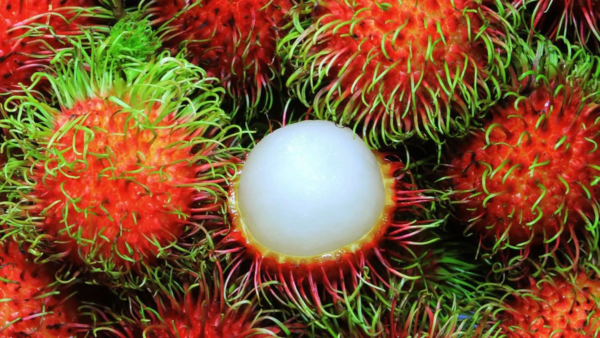 El árbol frutal de doble cosecha que casi nadie en Brasil conoce - image 1