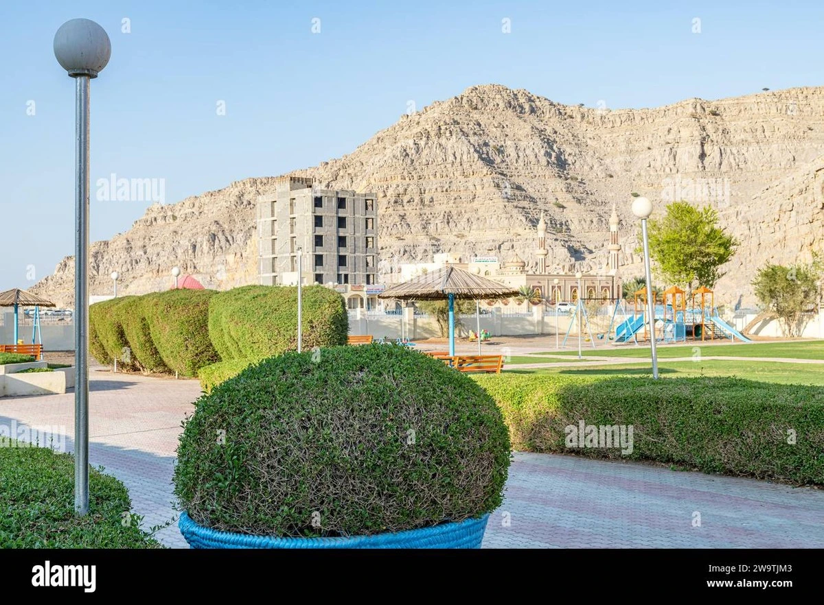 El Concejo Municipal de Arica aprueba el mantenimiento de 965.000m2 de áreas verdes - image 1