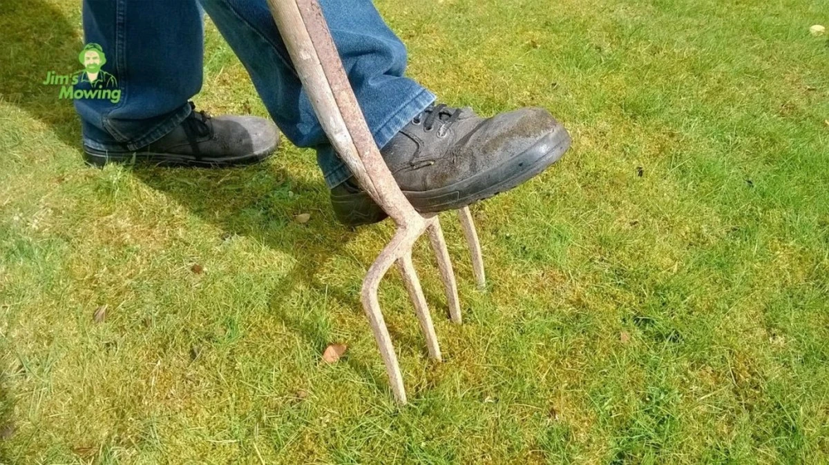 Elimina el musgo en marzo: el método de aireación de Monty Don para el césped - image 1