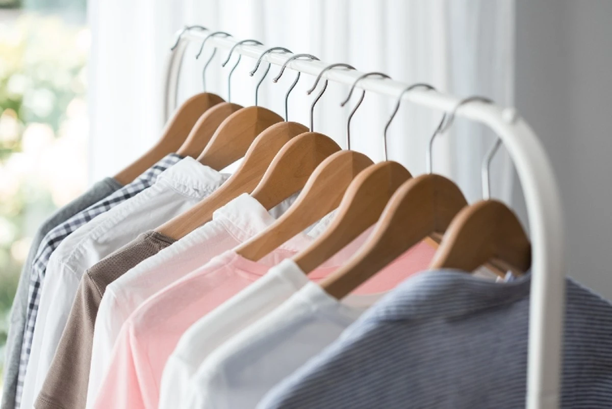 El secador de ropa reemplaza a la plancha tradicional: esta es la opción más rápida y práctica - image 1
