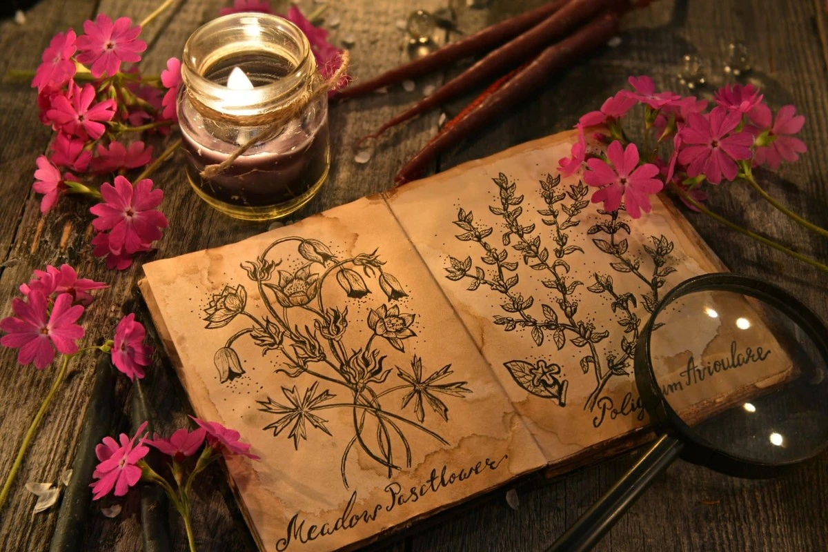 El secreto ancestral: coloca una hoja de laurel bajo la alfombra y despídete de tu problema diario - image 1