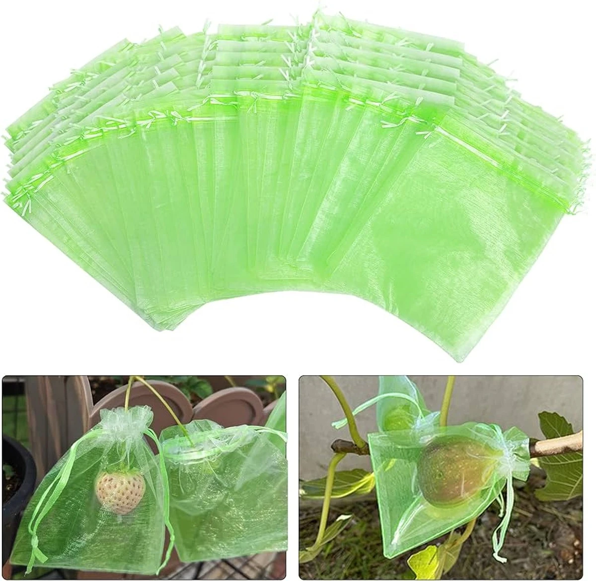 El secreto de los agricultores para peras sin gusanos: bolsas protectoras en cada fruto - image 1