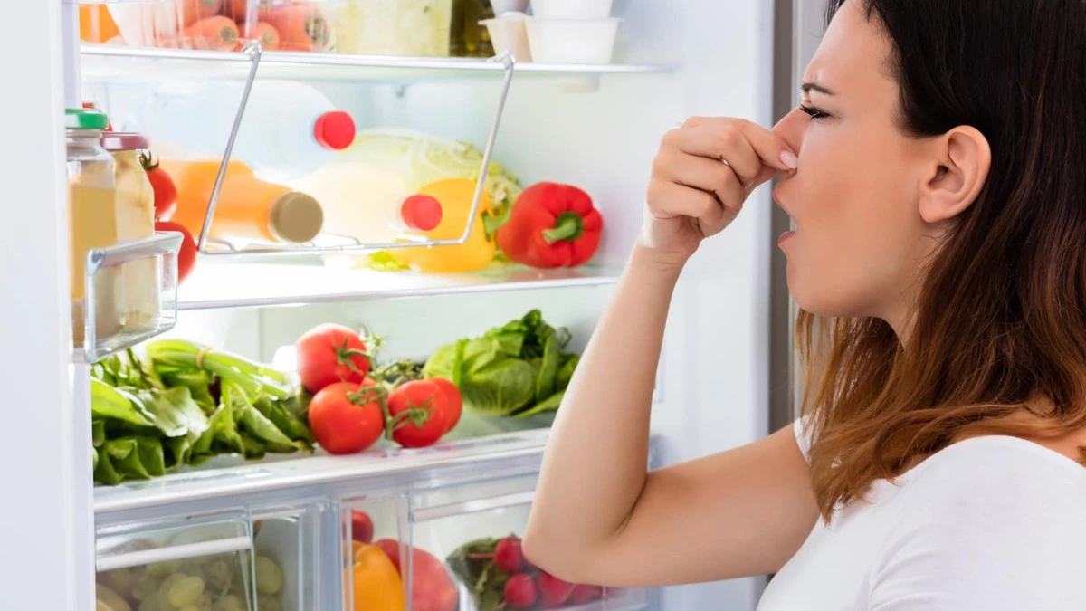El secreto para un refrigerador sin olores: La goma de la puerta es la culpable - image 1