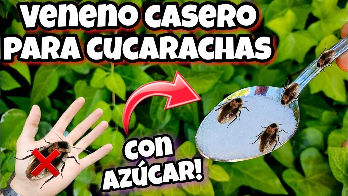 El truco casero de bicarbonato y azúcar que tus cucarachas odiarán - image 1
