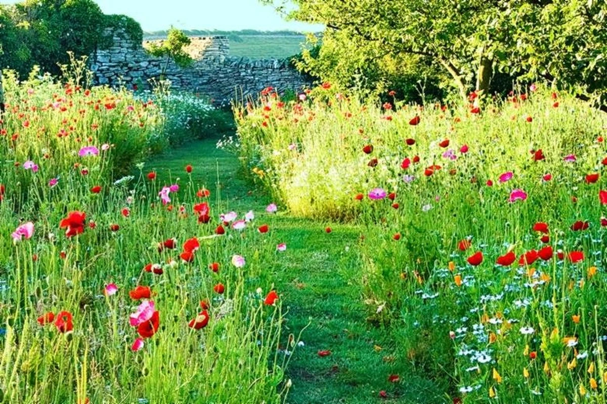 El truco de Mary Keen en Gloucestershire para un jardín vibrante con cero esfuerzo - image 1