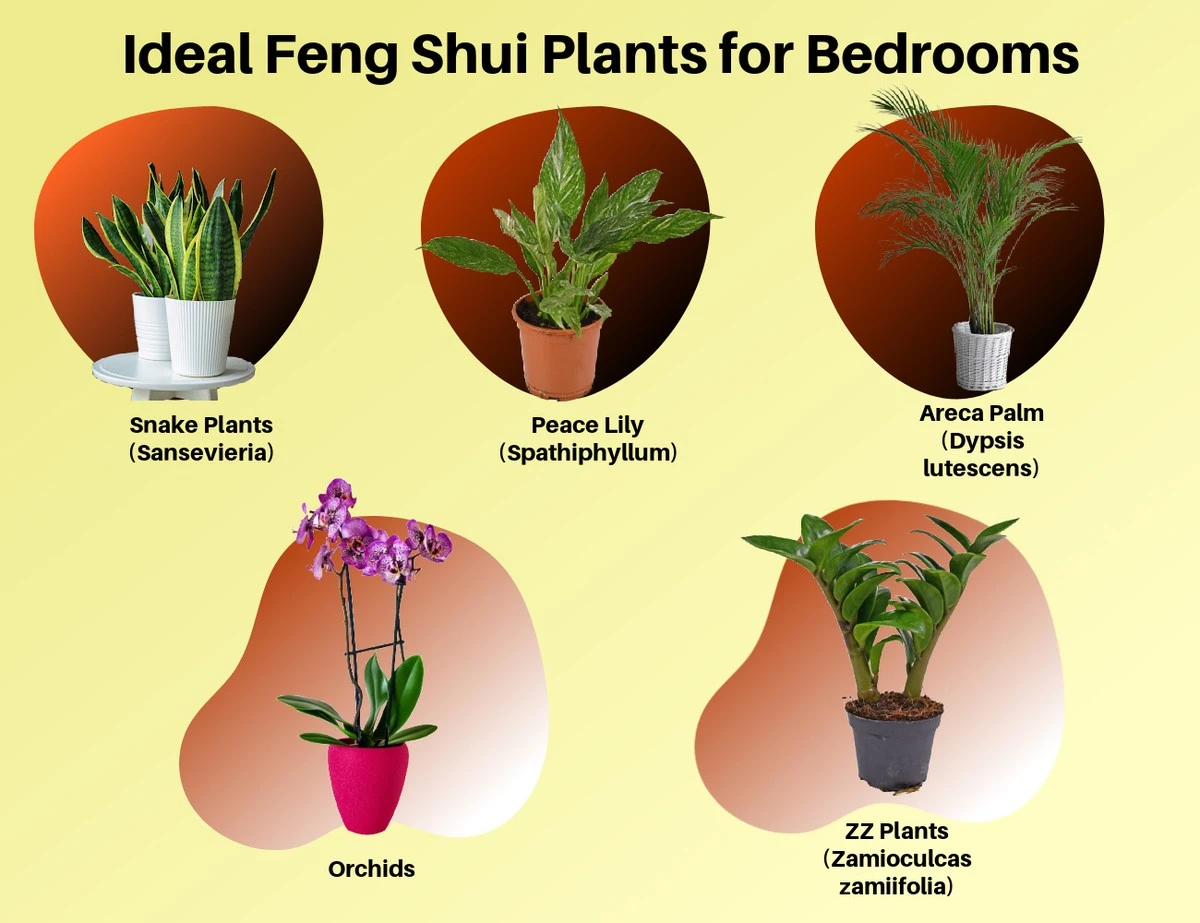 Energía estancada: el cambio con Feng Shui y plantas para activar tu Chi - image 1
