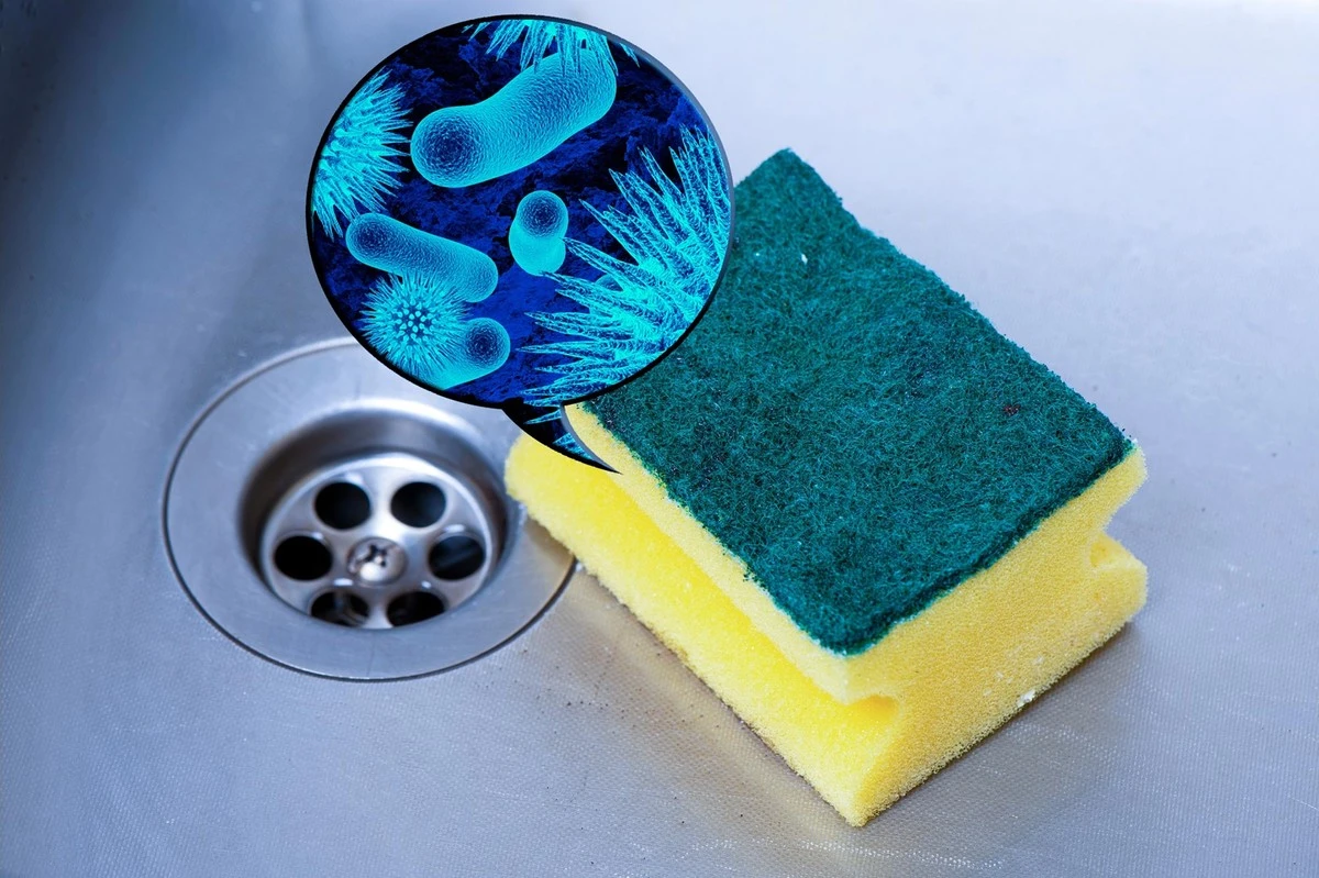 Esponja de cocina: el truco de Beca para desinfectarla en 5 minutos - image 1