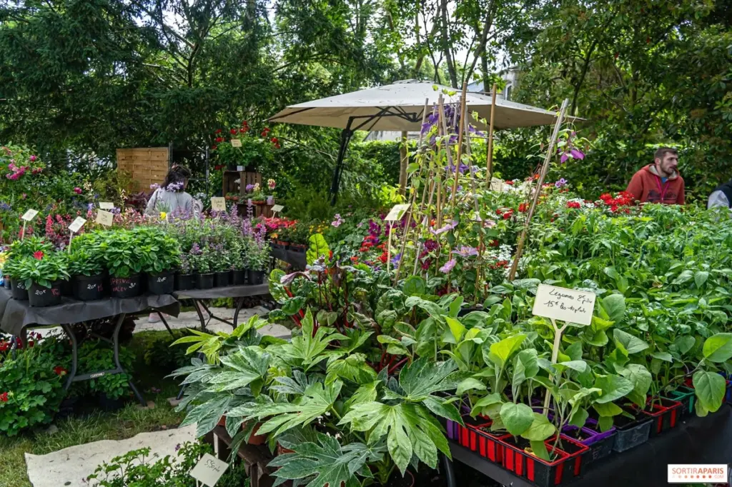 Feria de las plantas y mercado gourmet de Larchant 2026: el secreto de Larchant para un jardín radiante