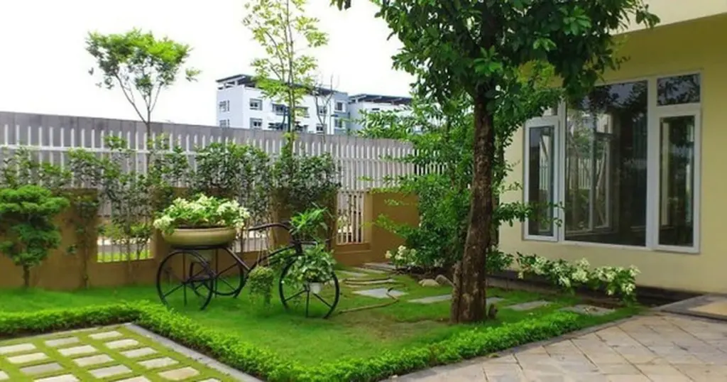 Ficus (Cây đa) daña cimientos y el Feng Shui: no lo plantes en tu entrada