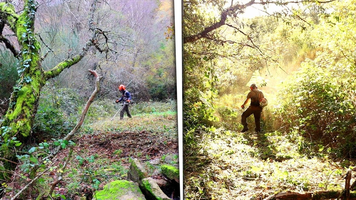 Fincas rurales 2026: el método de Thomas Buff en Waldstatt para evitar multas - image 1
