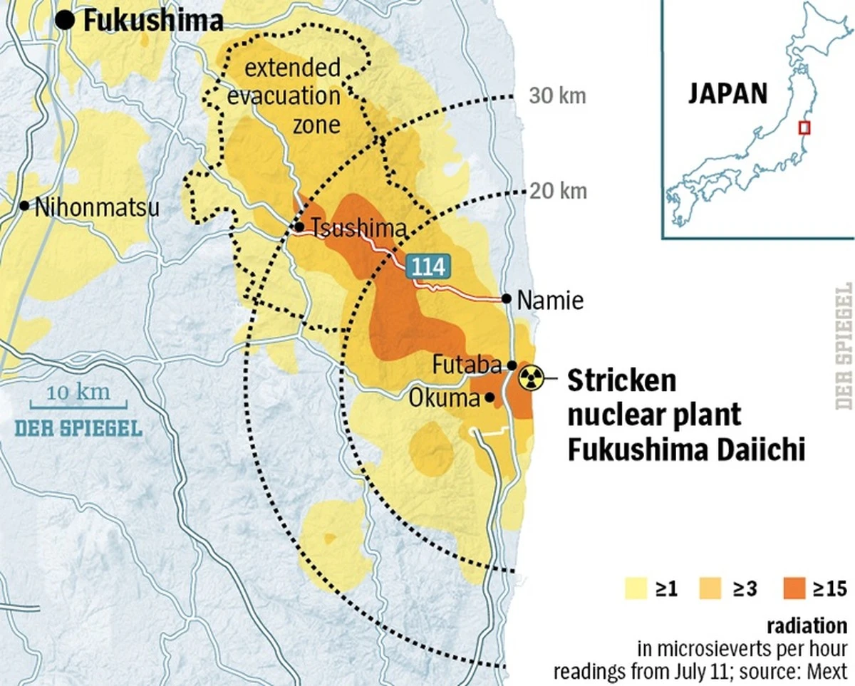Fukushima nos sorprende de nuevo: el extraño híbrido de cerdo y jabalí que prospera en la zona de exclusión - image 1
