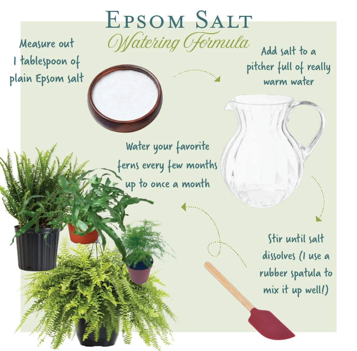 Hojas amarillas en tu jardinería: el uso clave de la Sal de Epsom - image 1
