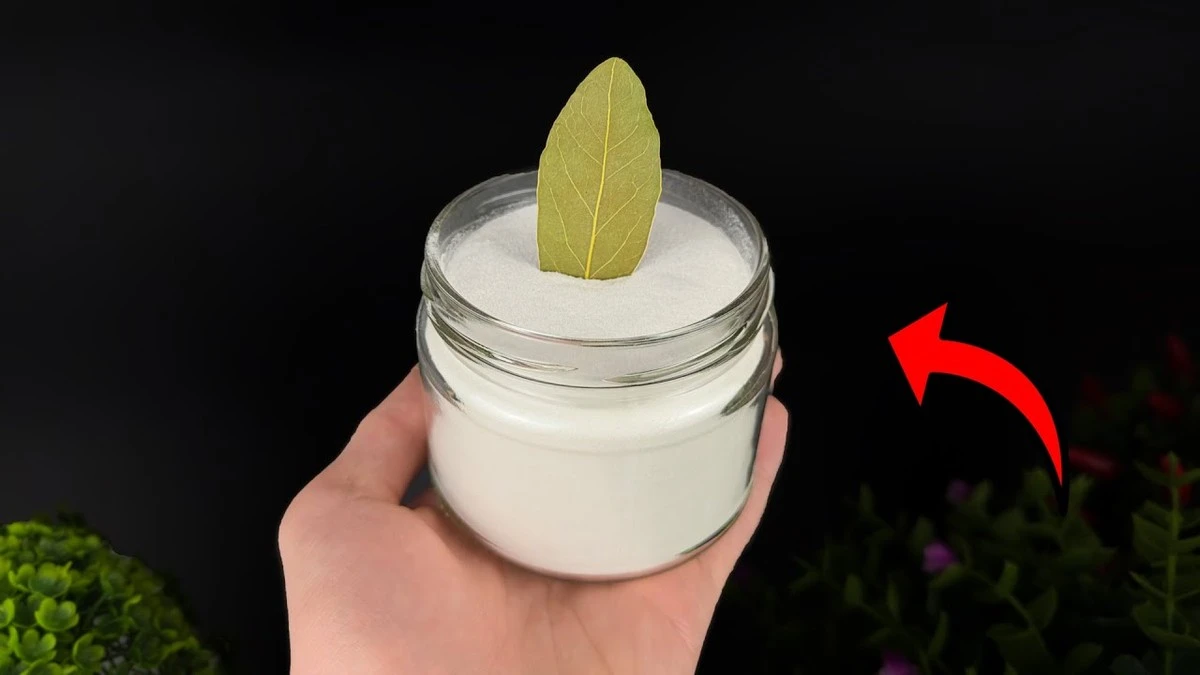 Hojas de laurel y bicarbonato de sodio: el secreto casero que arrasa - image 1