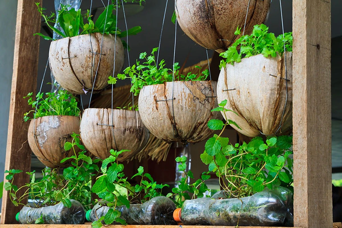 Huerto de revista: el truco para cada cama de cultivo que ahorra un 40% de agua - image 1