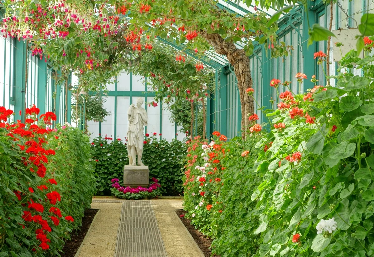 Invernaderos Reales de Laeken: por qué no verás el Jardín de Invierno en 2026 - image 1