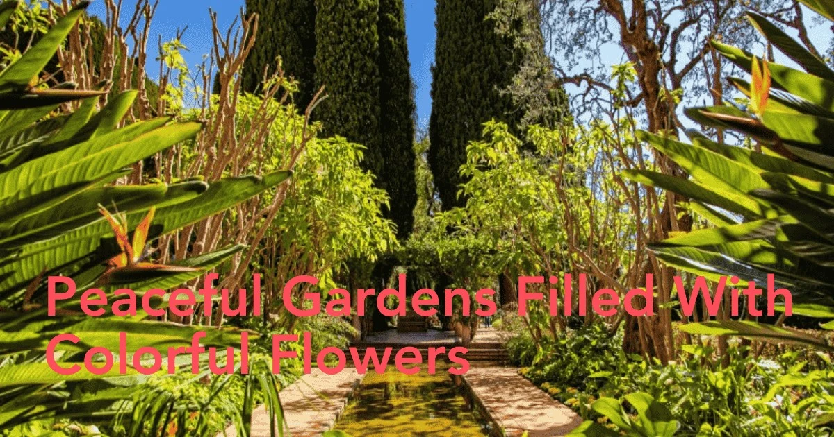 Jardín en marzo: desinfecta herramientas y usa microgoteo para salvar el suelo - image 1