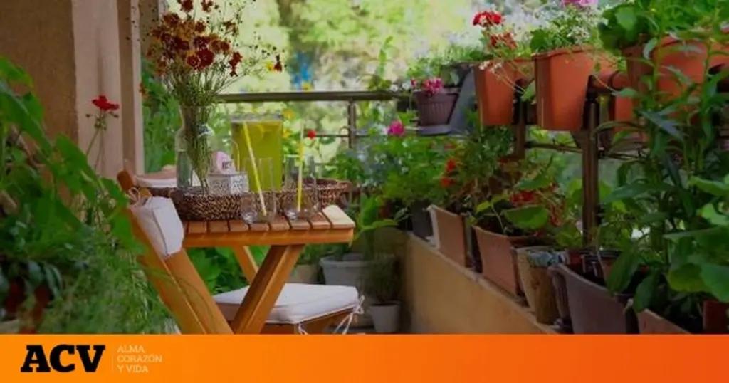 Jardín en tiempo récord: el secreto con Petunia y Lavanda para resultados rápidos
