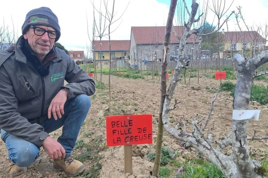 Jardinería como en la Creuse: el truco francés para no perder tus plantas