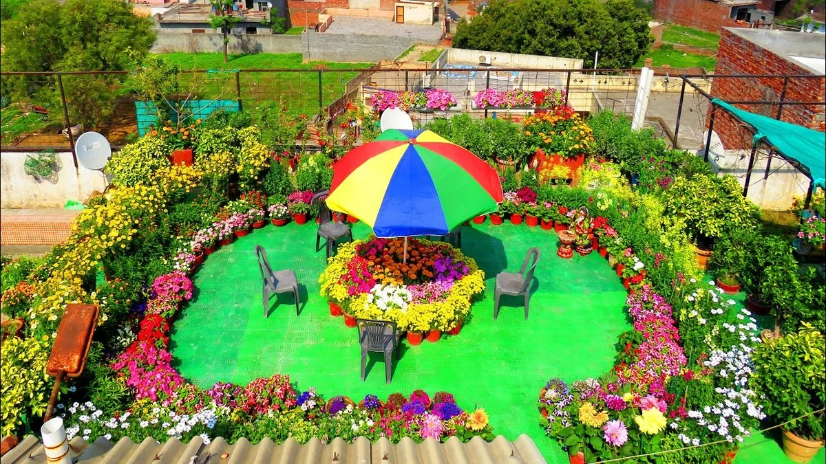 Jardinería en Primavera: el truco de expertos para flores explosivas con poco riego - image 1