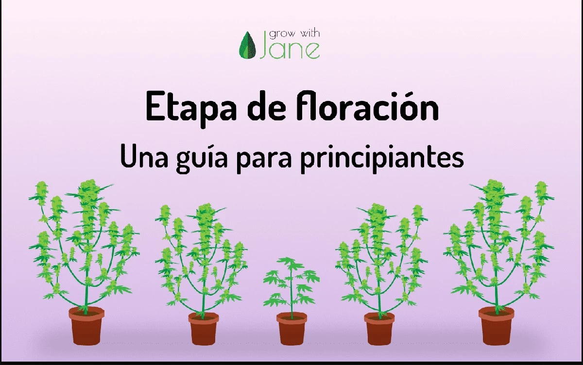 La estaca secreta que hace florecer tu macieiro joven en un año (¡sin aditivos!) - image 1