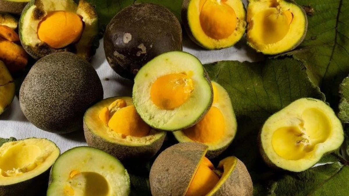 La fruta dorada de los abuelos que hoy devuelve el brillo natural a tu cabello - image 1