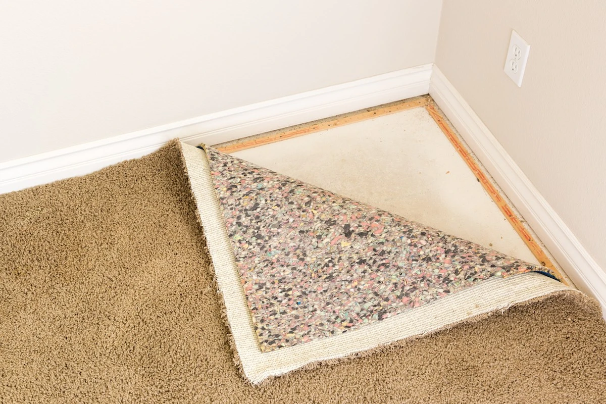 Lavado de la alfombra de baño: hazlo cada 2 días para eliminar bacterias - image 1