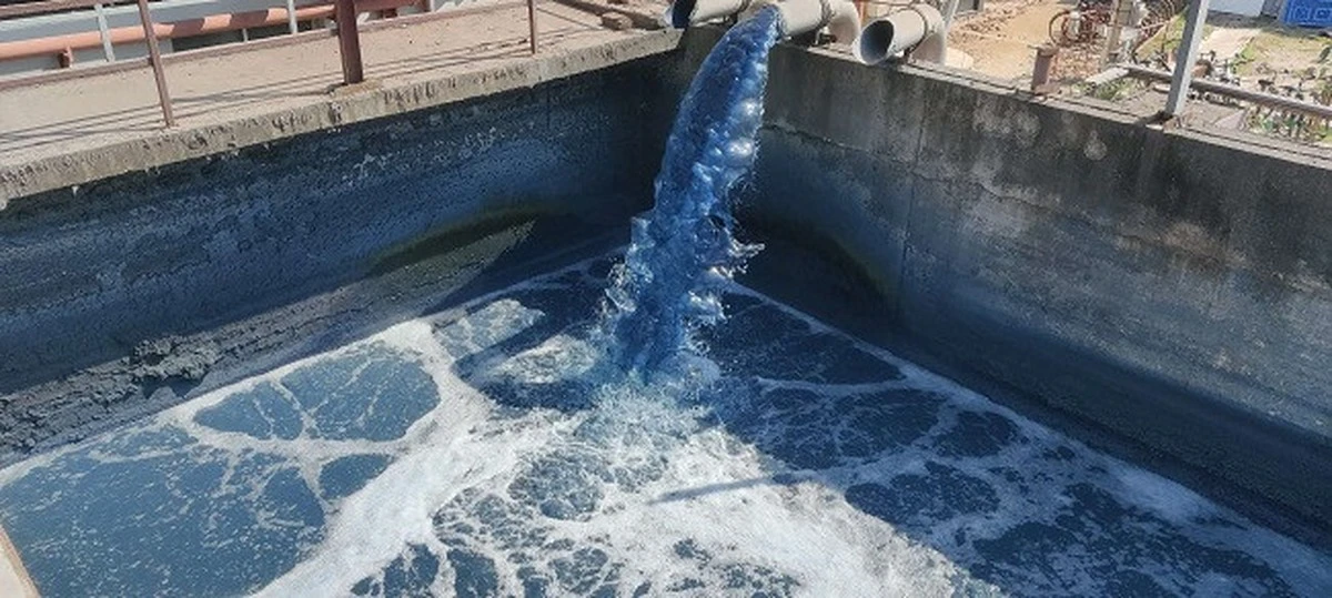 Lorena Cuéllar Cisneros impulsa Ekccolav: el método para ahorrar 3000L de agua - image 1