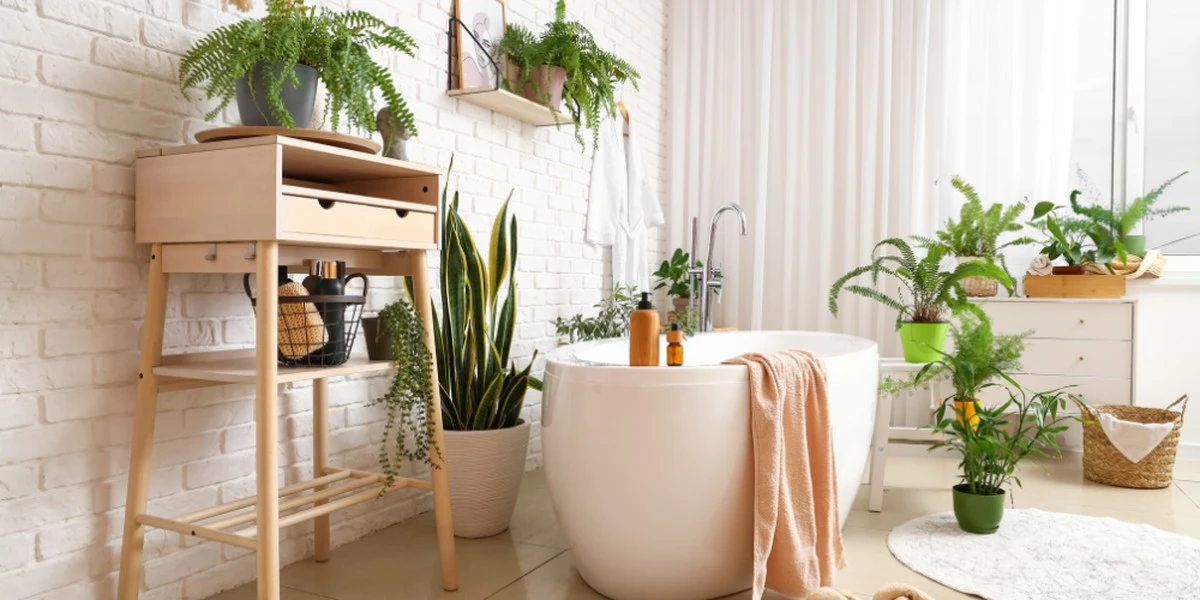 Mal olor en tu cuarto de baño: el truco del bicarbonato de sodio en 15 minutos - image 1